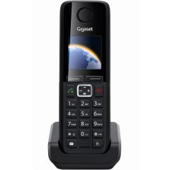 Gigaset C300H