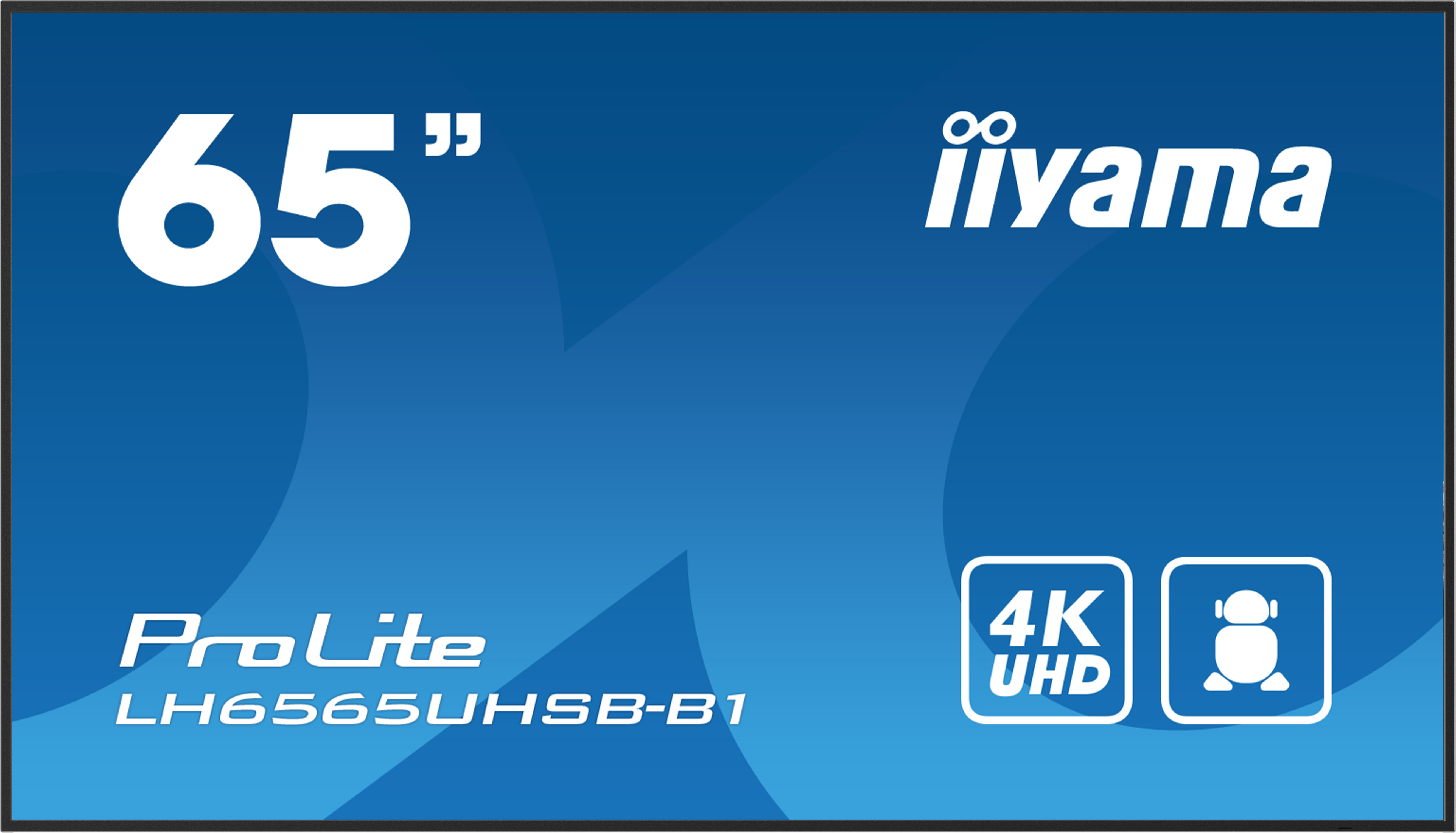 Iiyama ProLite LH6565UHSB-B1 image