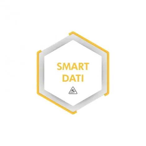 SMART-DATI-logo Applicatieservice